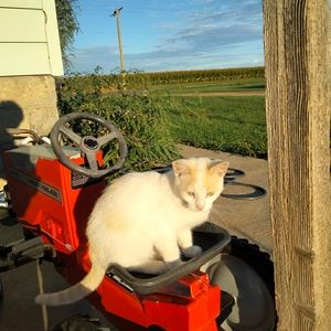 Meet your Posher, Rosemary